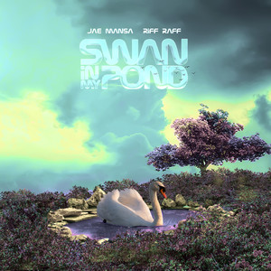 SWAN iN MY POND (Explicit)