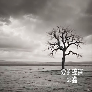 你的目光曾是解药