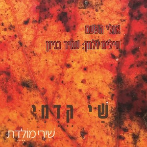 אולי הפעם