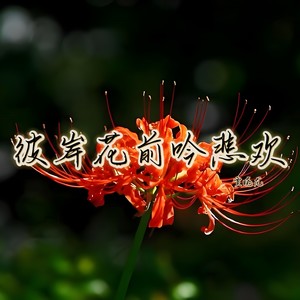 彼岸花前吟悲欢