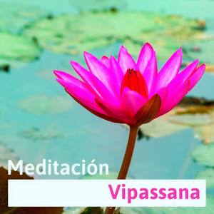 Meditación Vipassana - Ambiente de Yoga y Relajación, Retiros de Meditación