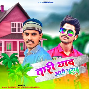 Tari yaad Aave Purai