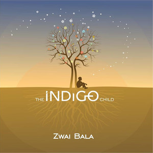 The Indigo Child