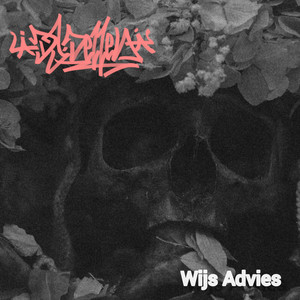 Wijs Advies