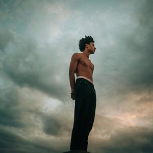 Pas besoin de love (feat. Don Omega)