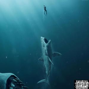 SHARKS (Explicit)