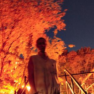 stung by a bee (Explicit)