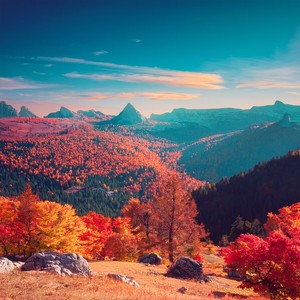 Relax Happy - The Calm After The Release