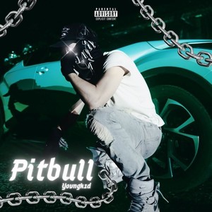 Pitbull (Explicit)