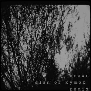 Crown (Clan of Xymox Remix)