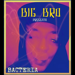 Bacteria