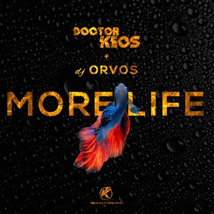 More Life