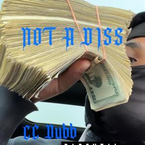 Not a Diss (Explicit)