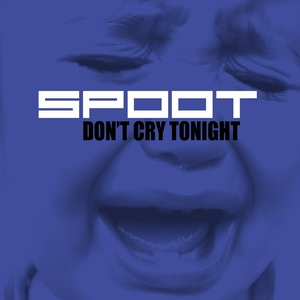 Don't Cry Tonight