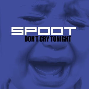 Don't Cry Tonight (Italo Radio Mix)