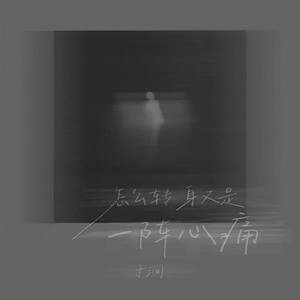 转身即心痛 (说唱版)封面