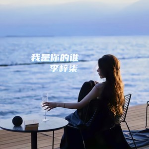 我是你的谁这一回 (DJ伤感女版)