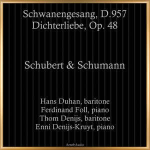 Schwanengesang, D. 957 - II. Kriegers Ahnung