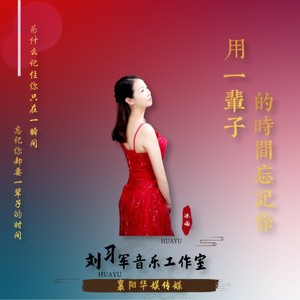 用一辈子时间忘记你封面