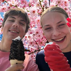 Cherry Dipped Cones