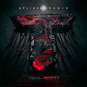 Project T (T计划)