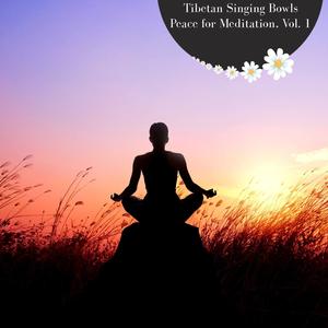 Tibetan Singing Bowls Peace For Meditation, Vol. 1