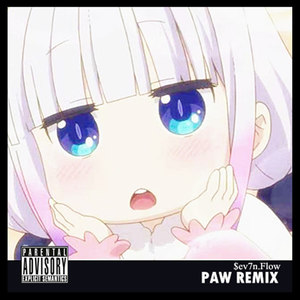 PAW Story REMIX