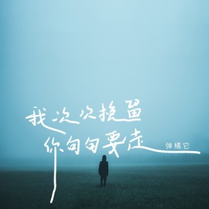 我次次挽留你句句要走 (伴奏)