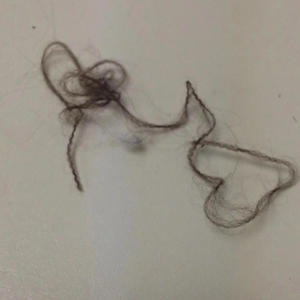 Step Up Or Step Down (Explicit)