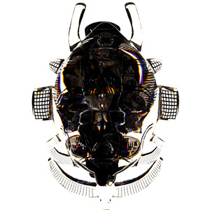 Ndiki (Cincity Space Remix)