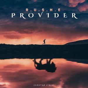 Provider