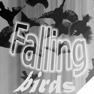 Falling Birds