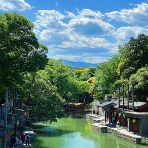 强强联手继续苟