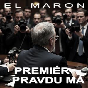 Premiér pravdu má