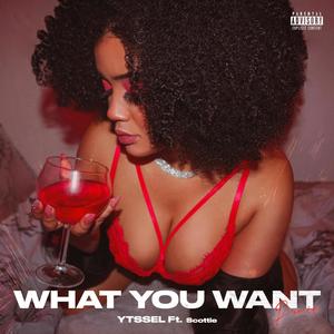 What You Want (feat. Scottie)