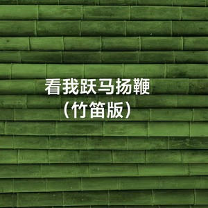 看我跃马扬鞭
