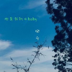 你是我的小baby