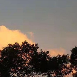 想你的时候问月亮