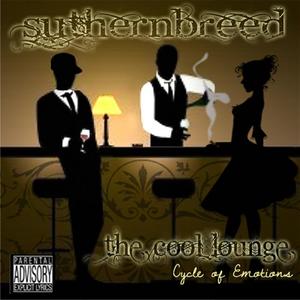 The Cool Lounge: Cycle of Emotions (Explicit)