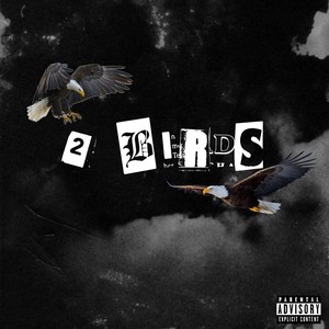 2 BIRDS (Explicit)