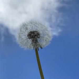 这一次 (伴奏)