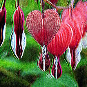 Dicentra (Explicit)