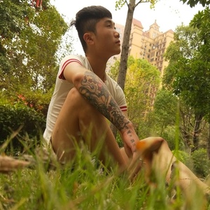 皇朝中我指鹿为马