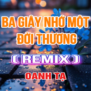 Ba Giây Nhớ Một Đời Thương (Duck Remix)