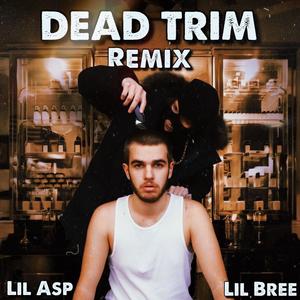 DEAD TRIM REMIX(feat. Lil Bree) (Remix|Explicit)