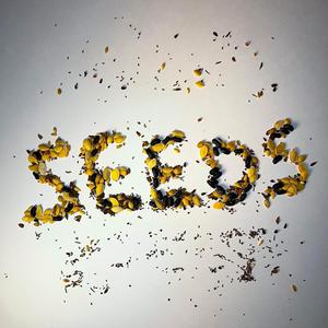 seeds