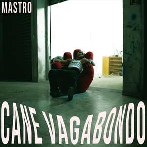 Cane Vagabondo