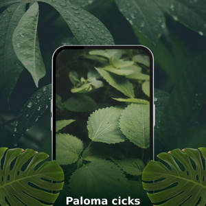 Paloma Cicks
