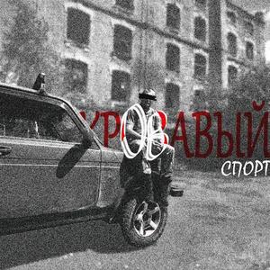 Кровавый спорт (Explicit)