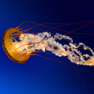 再等你回头 (伴奏)